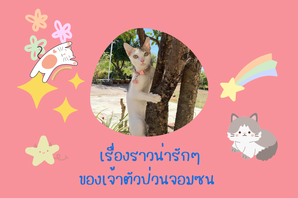 สวัสดีค่ะ หนูชื่อจูดิธดี้ (เรียนรู้นำเสนอสิ่งที่รัก น่ารักนะคะ)